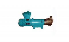 2BV Water Ring Vacuum Pump